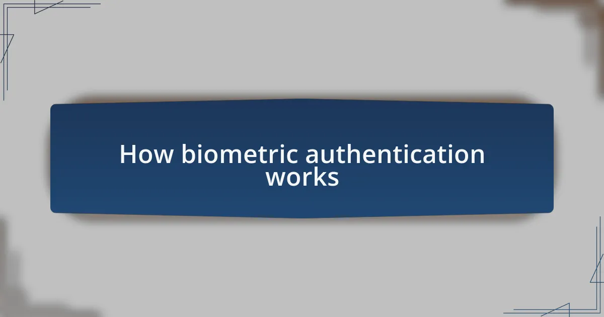 How biometric authentication works